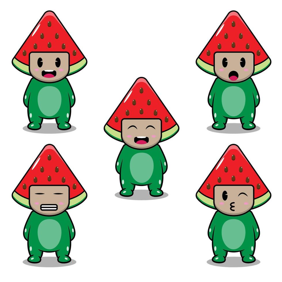 The Watermelon Slice Fruit Emoji vector