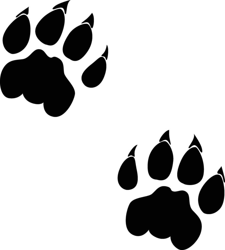 Tiger paw print silhouette. Animal footprint in black color. vector