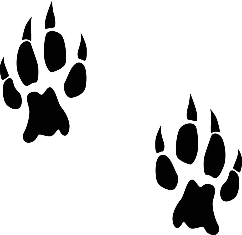 Cheetah paw print silhouette. Animal footprint in black color. vector