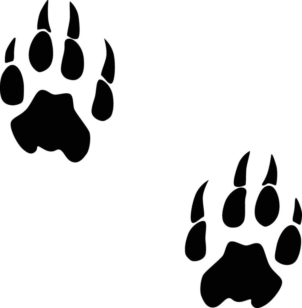 Panther paw print silhouette. Animal footprint in black color. vector