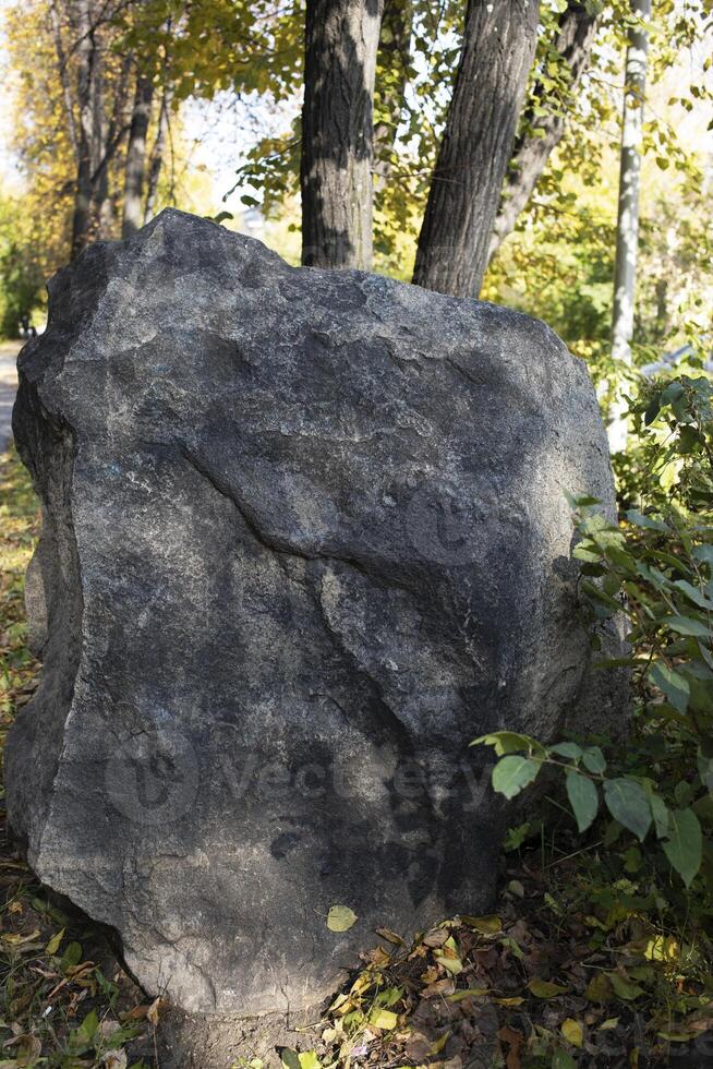 Large granite rock surrounded by trees and foliage in a natural outdoor setting photo