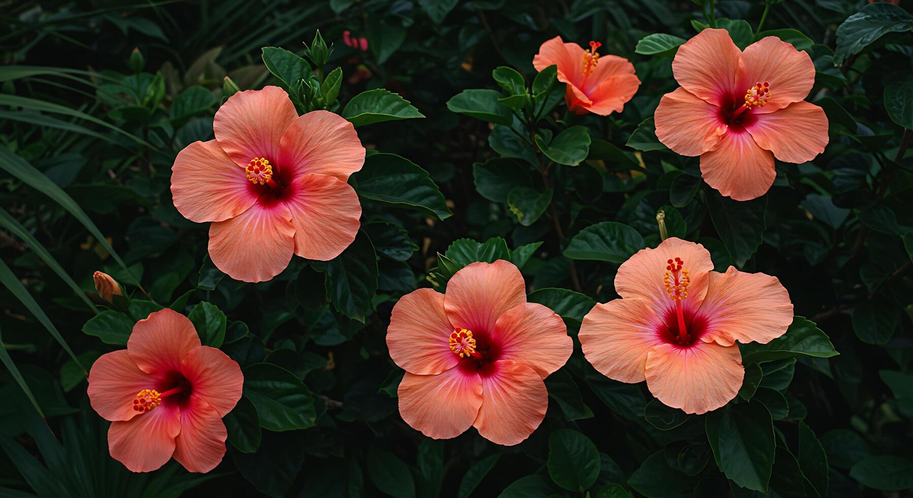 Several orange flowers are blooming in the middle of a field photo