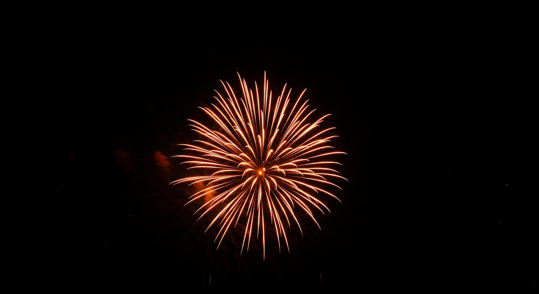A large orange firework is lit up in the dark photo