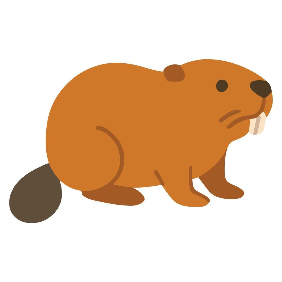 Zoo Beaver illustration, Colorful Beaver , Colorful Safari Animal Clipart, Animal design sublimation vector