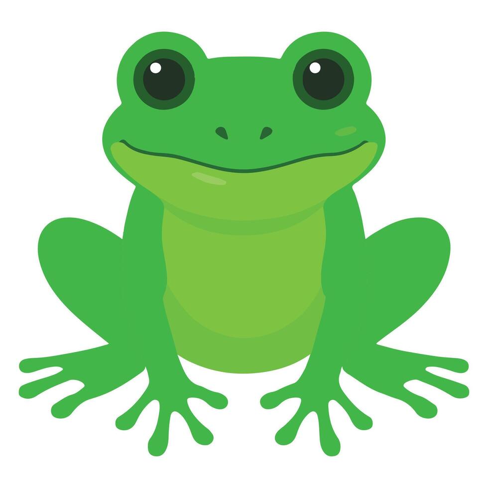 Zoo Frog illustration, Colorful Frog , Colorful Safari Animal Clipart, Animal design sublimation vector