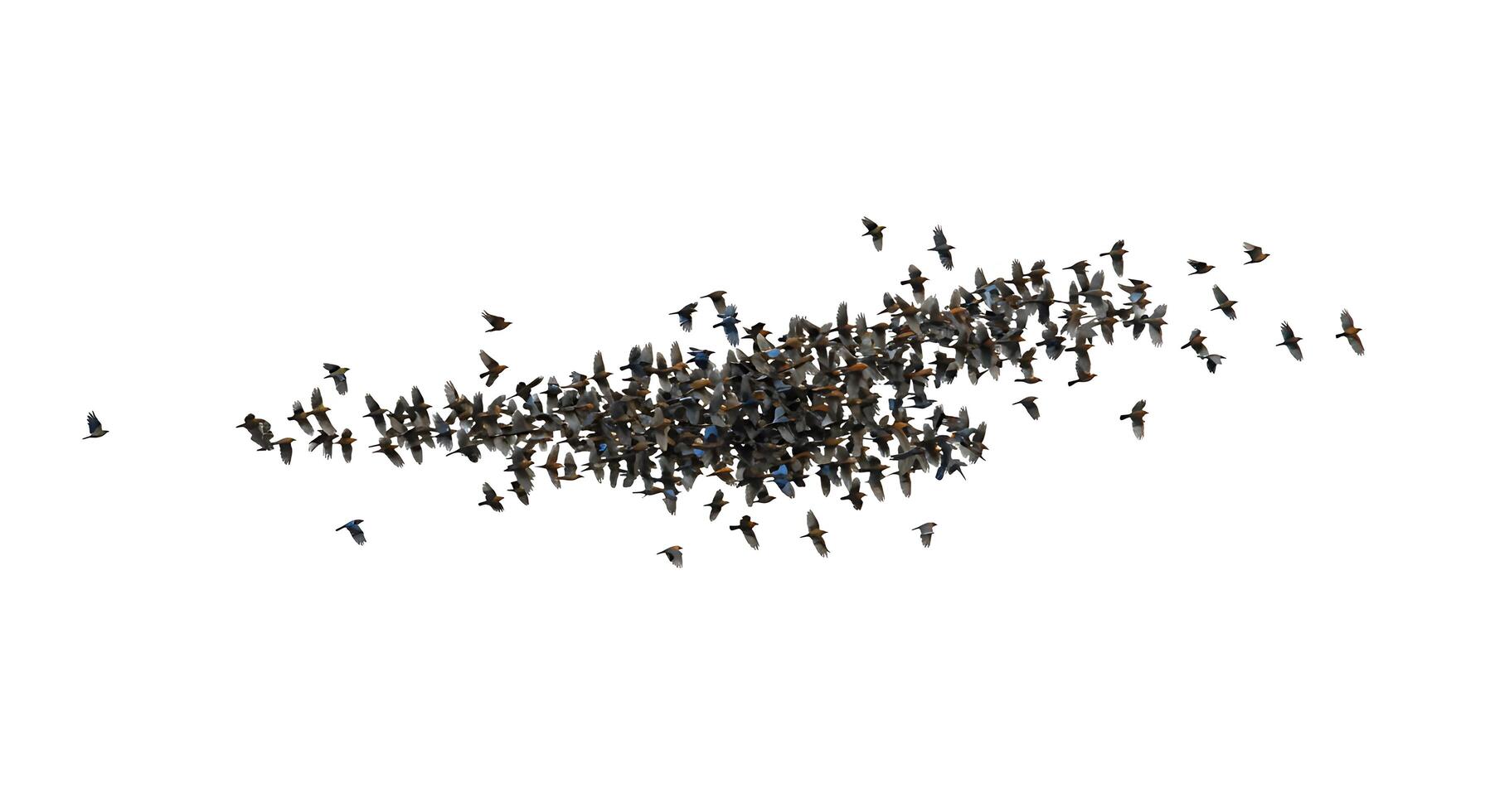 A large group of people are standing in a circle photo