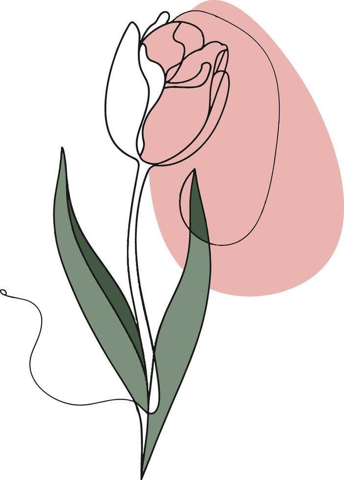 Tulips one line vector