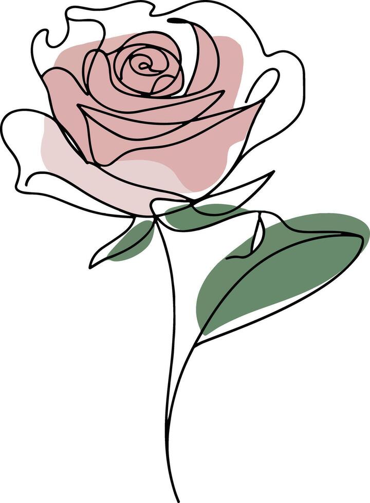 Hand Drawn Roses Illustrations vector