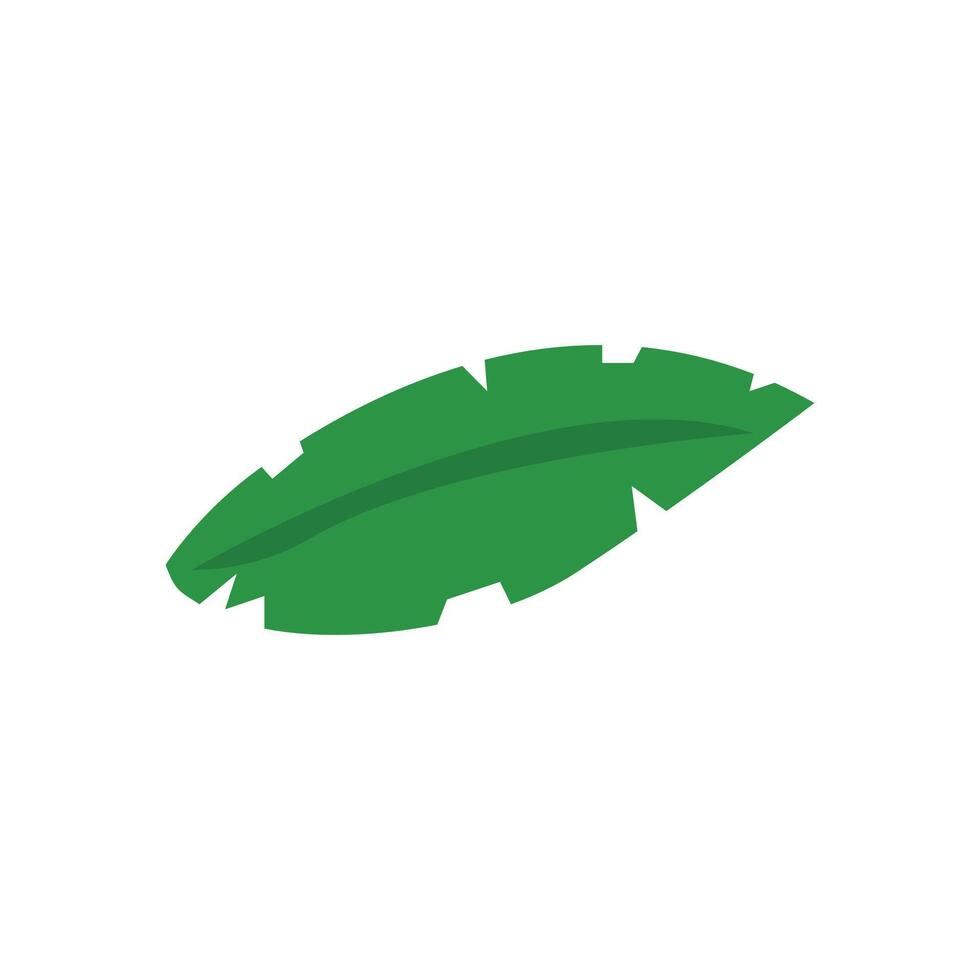 illustration of tropical rainforest greenery vector