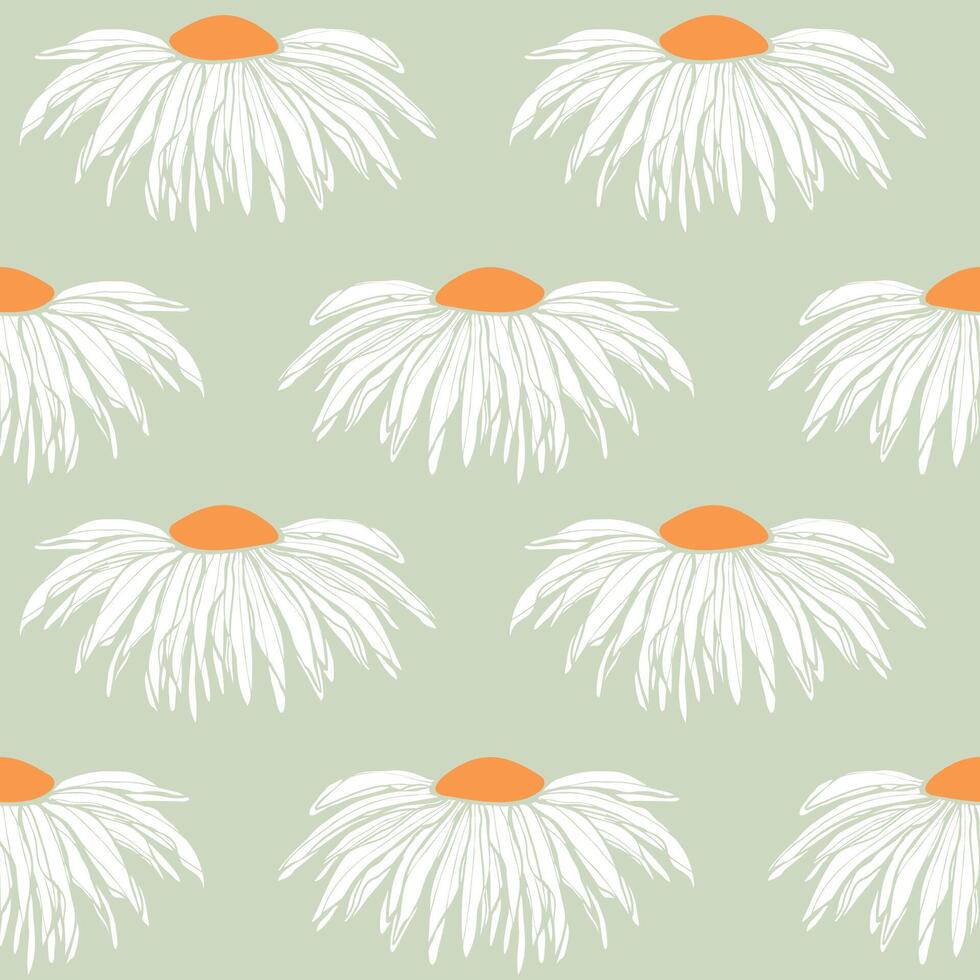 Chamomile pattern, wall decor with hand drawn sketch chamomile flower bud. On pastel green background. vector