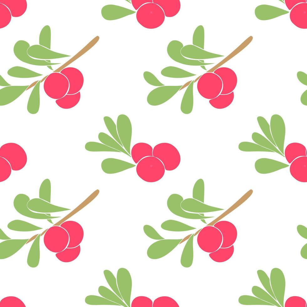 Cranberry berries with leaves on branch, simple pattern. vector