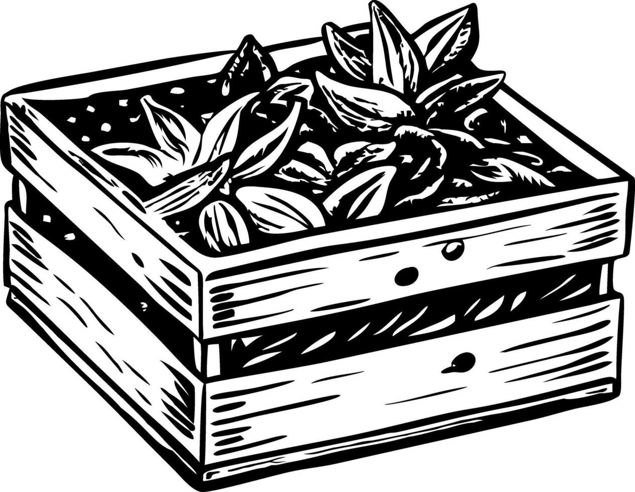 A vintage style illustration of wooden spice box vector