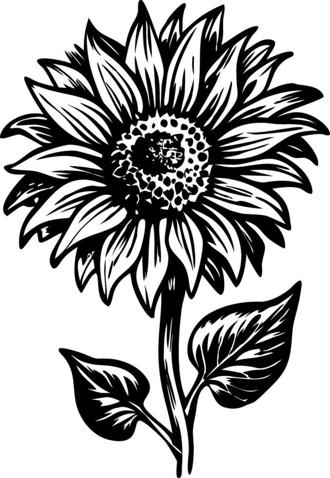 A vintage style icon showing blooming sunflower vector