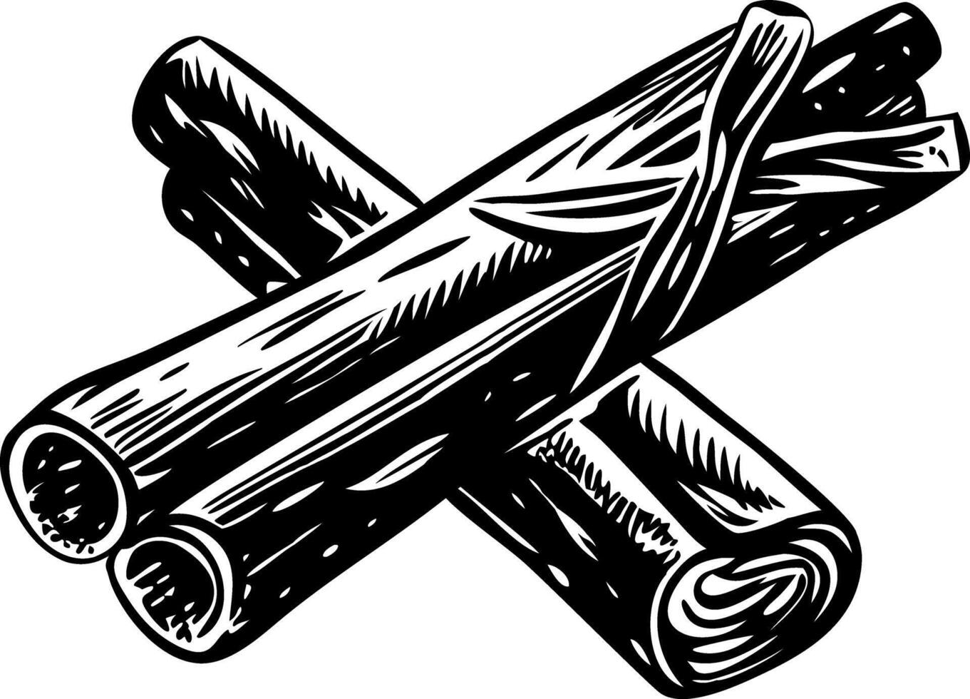 A vintage illustration showing cinnamon sticks bundle vector