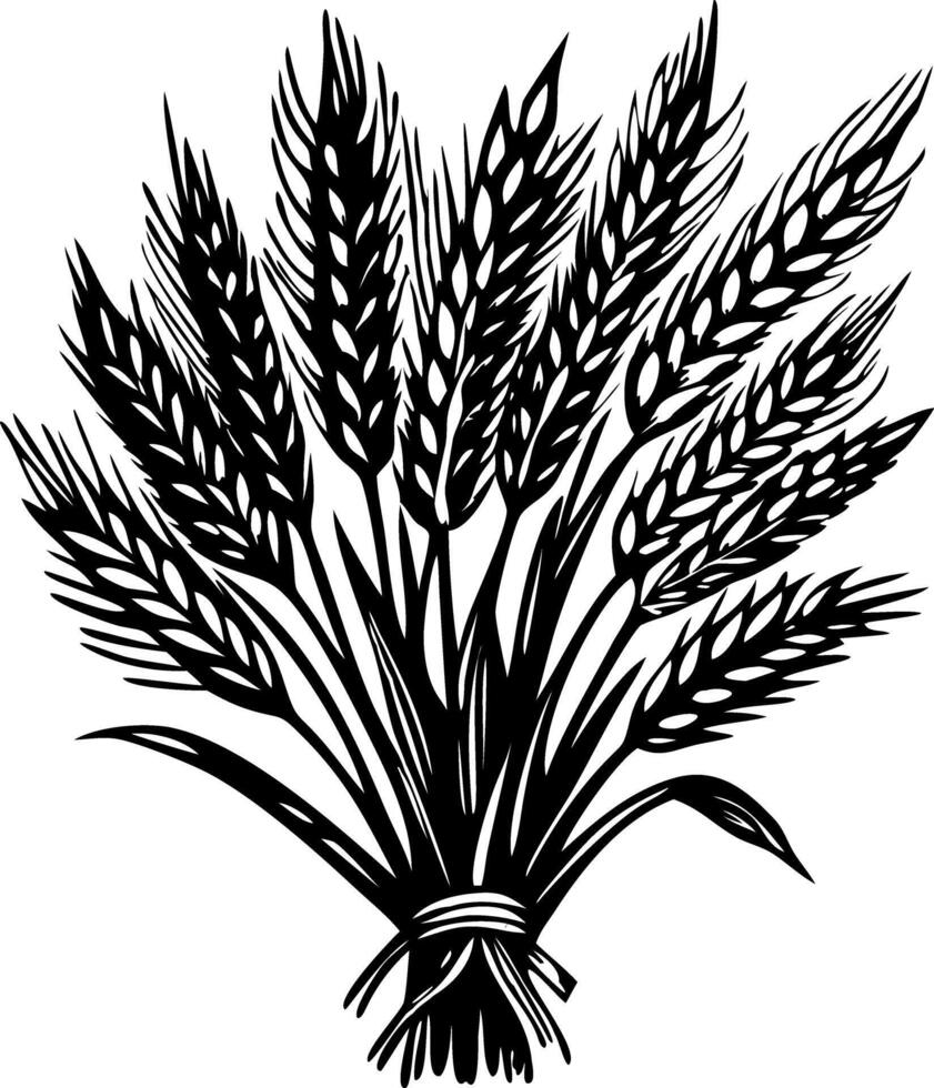A vintage illustration showing bundle of harvest wheat vector