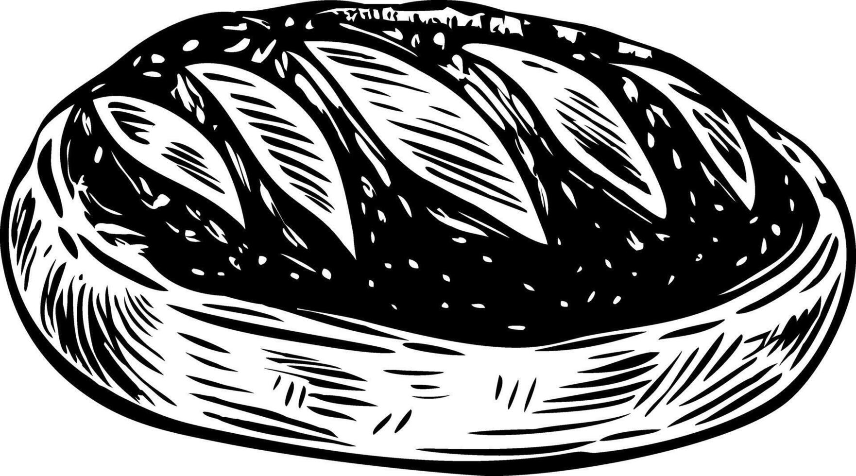 A vintage style illustration of sourdough roll vector