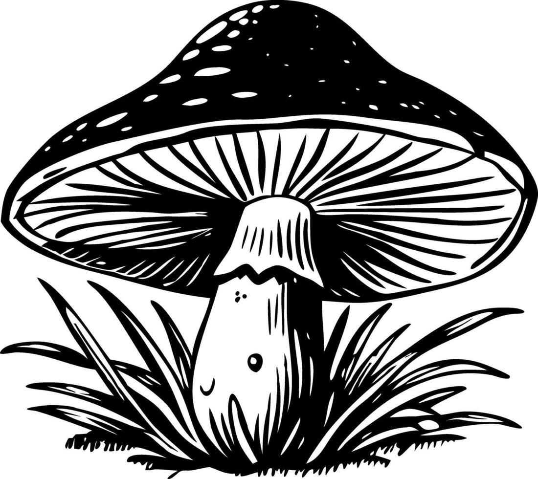 A vintage illustration showing thanksgiving mushroom vector