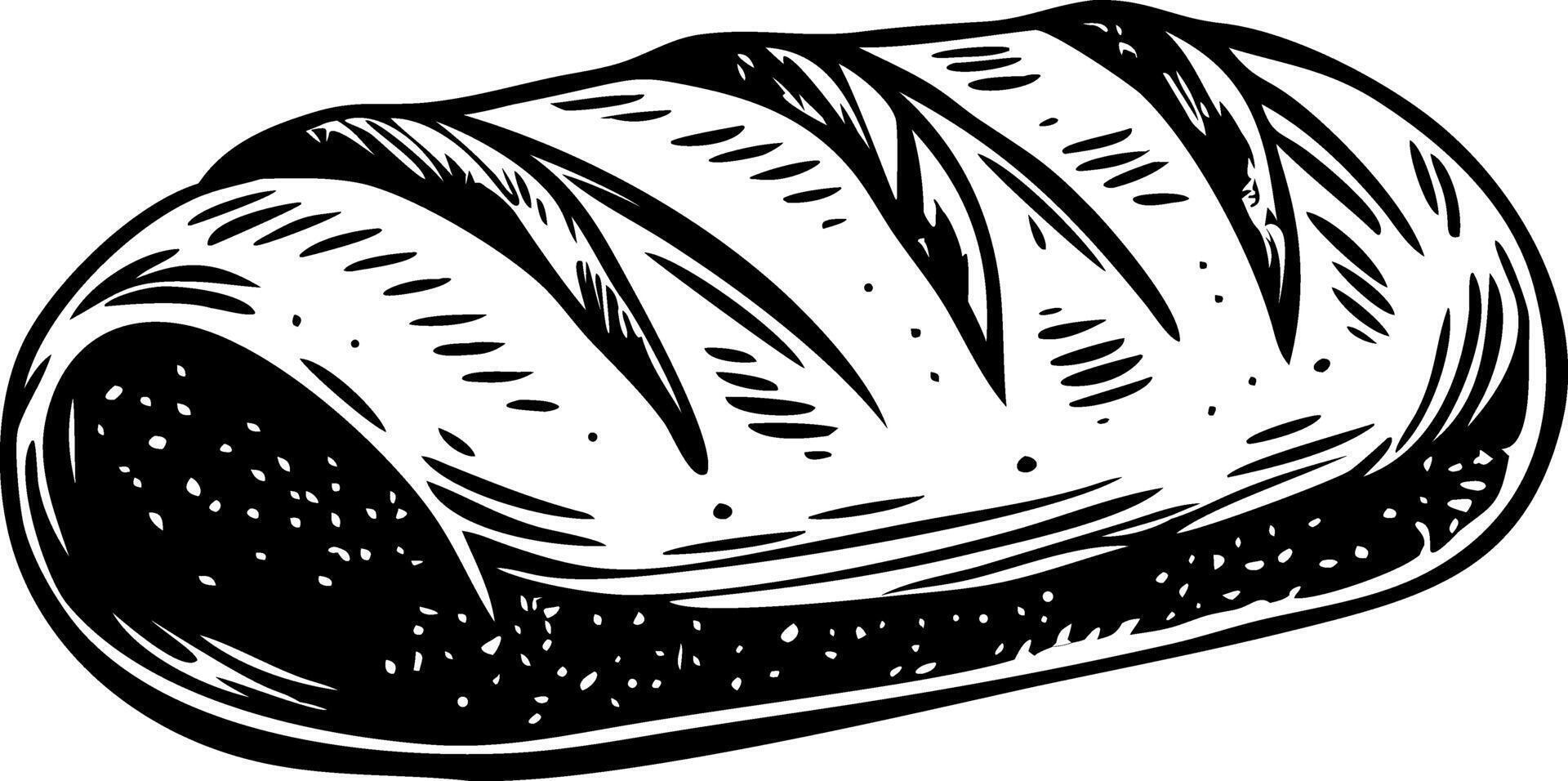 A vintage illustration showing warm bread loaf vector