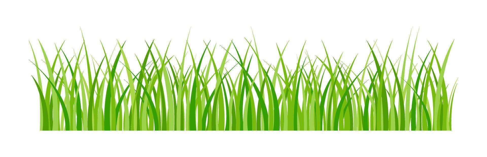 Green Grass Fresh Decorative Illustration vector