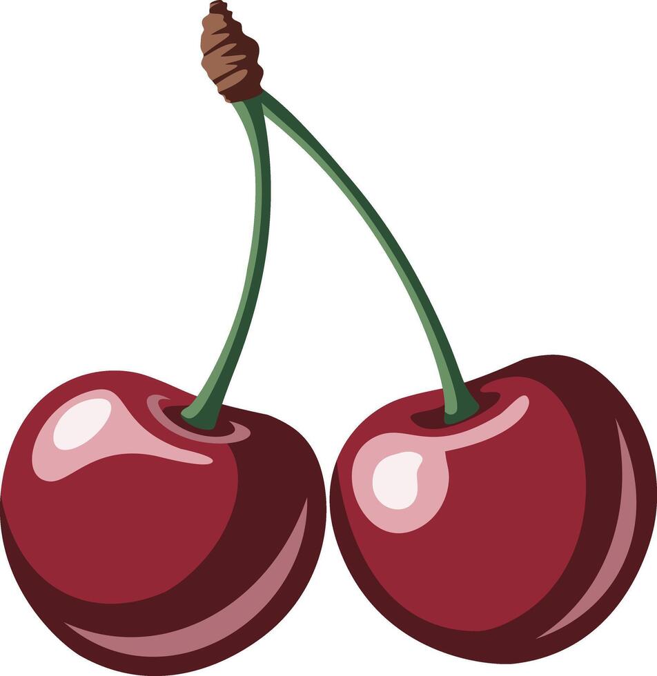 Red Cherry isolated illustration vector