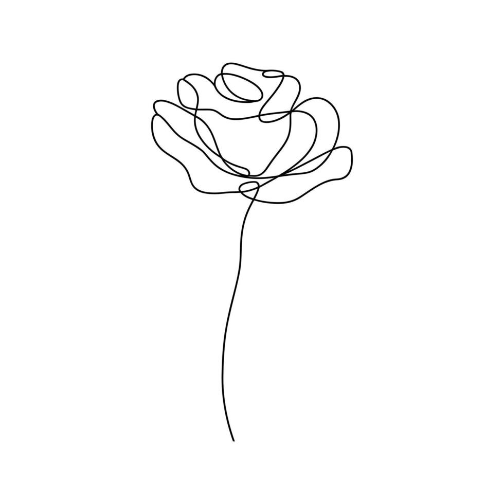 Simple Line Drawing of a Single Rose Flower Minimalist Botanical Illustration vector