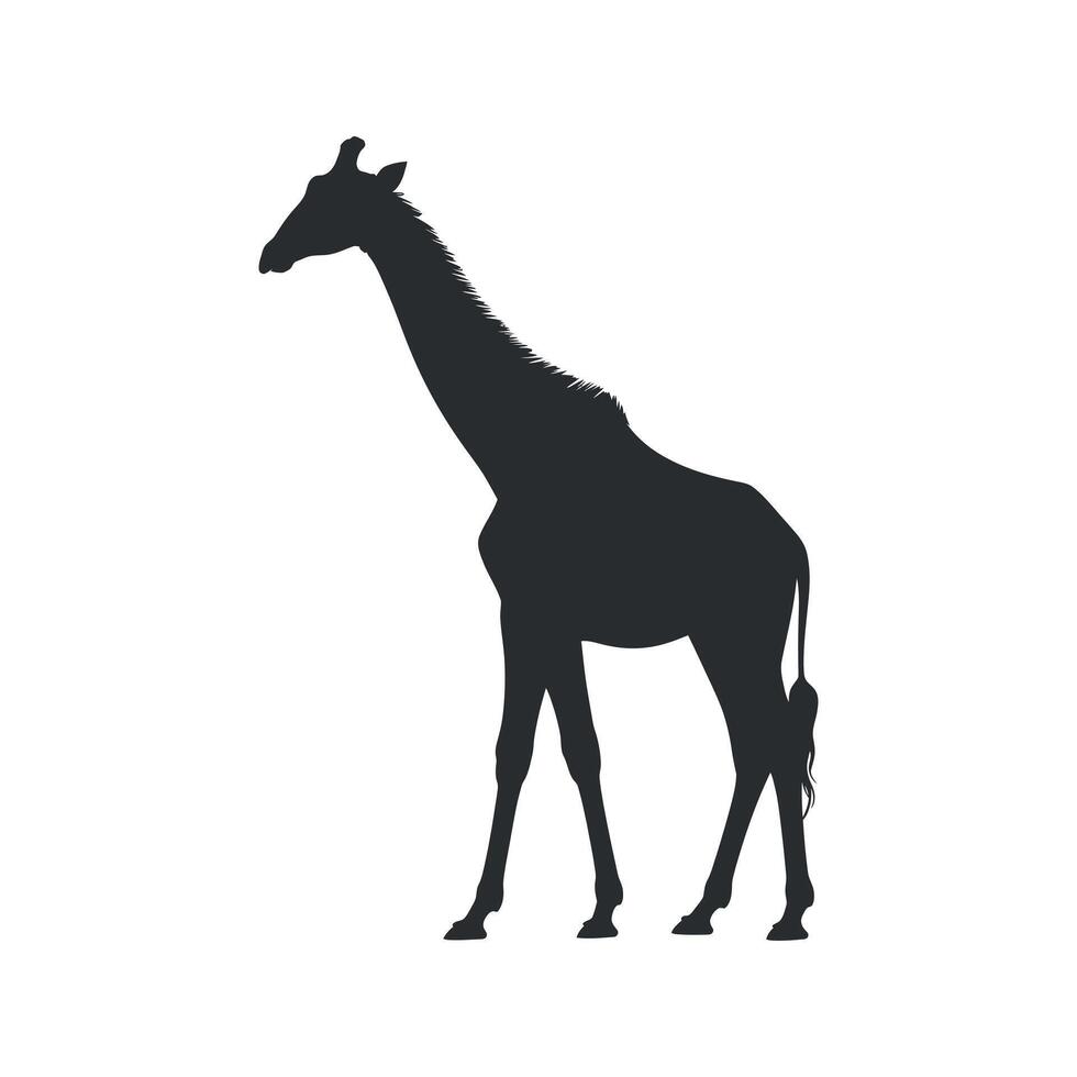 Silhouette of a Giraffe Standing Tall Against on White vector