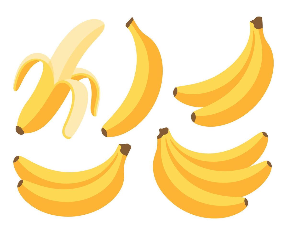 Collection of Yellow Bananas Isolated on White Background Illustration vector