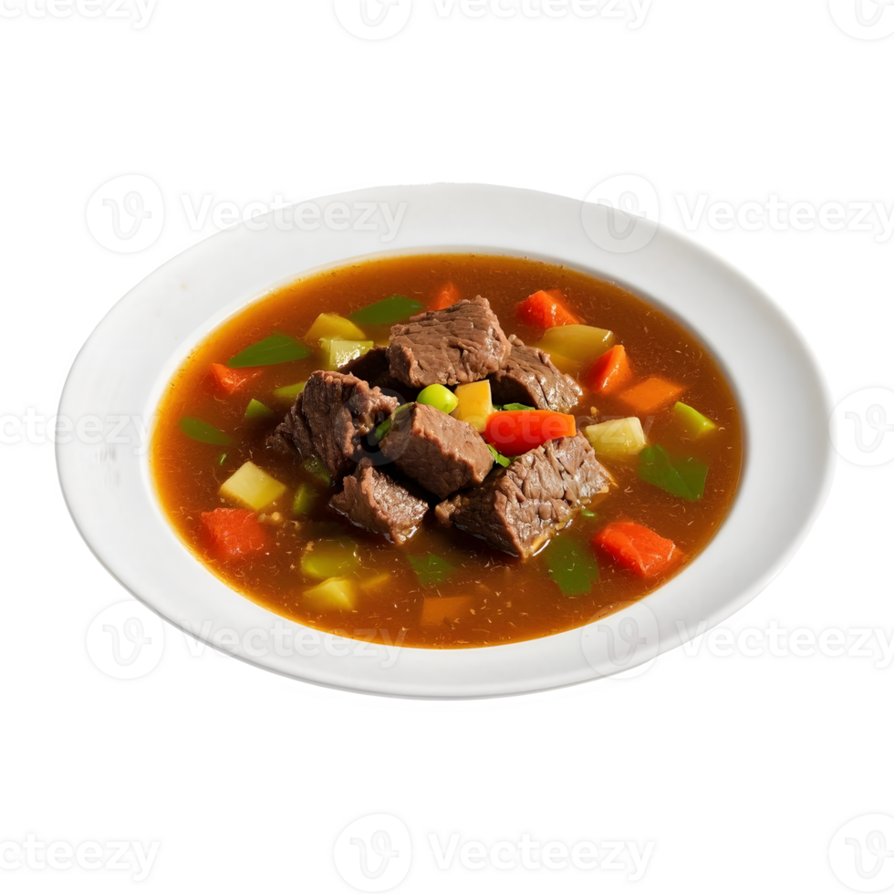 Delicious Beef Stew Full of Vegetables in Brown Broth png