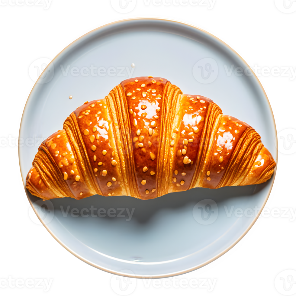 A Delicious Croissant on a Plate Top Down View png