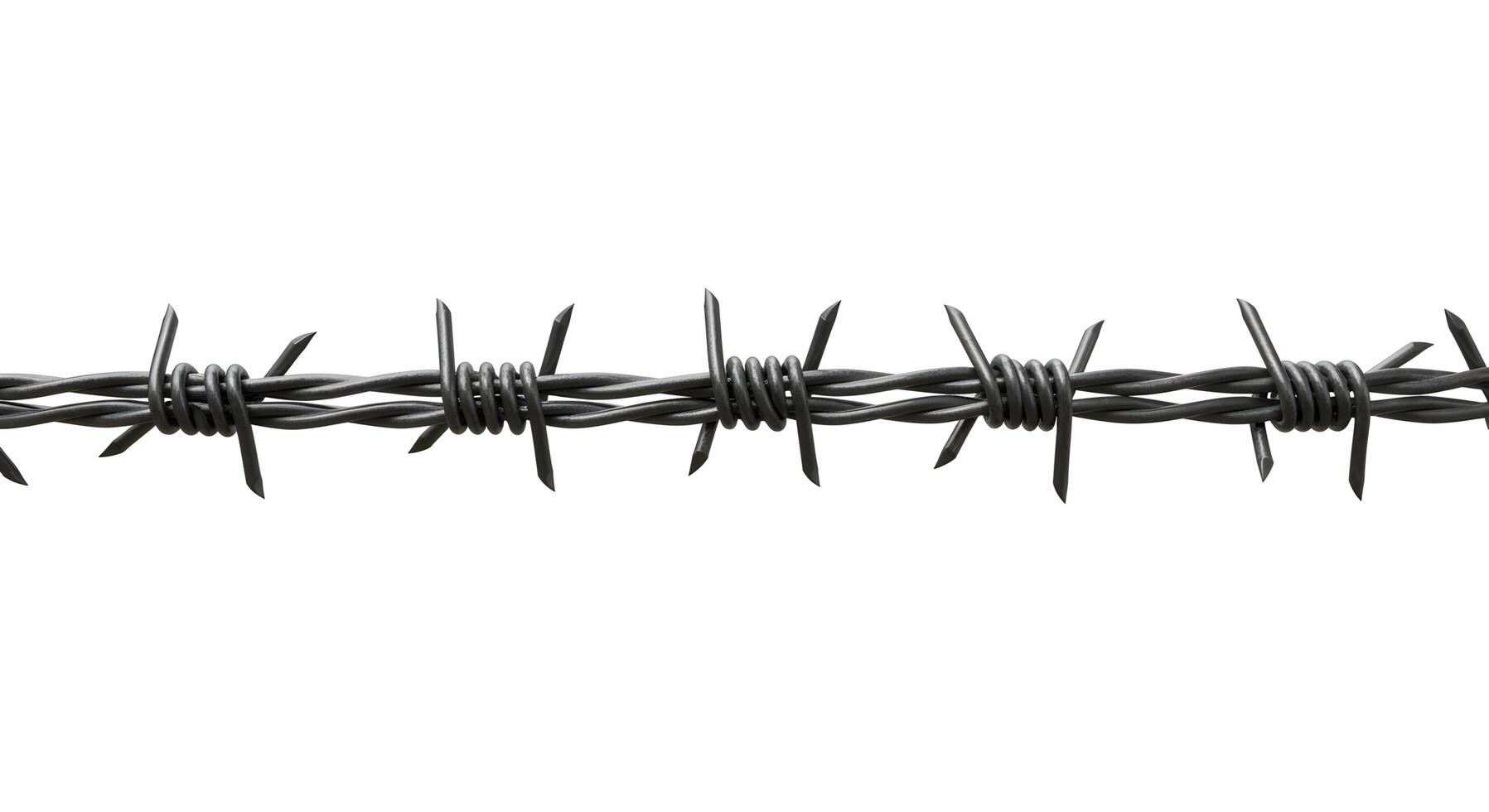Detailed close-up of sharp, metallic barbed wire on a white background photo