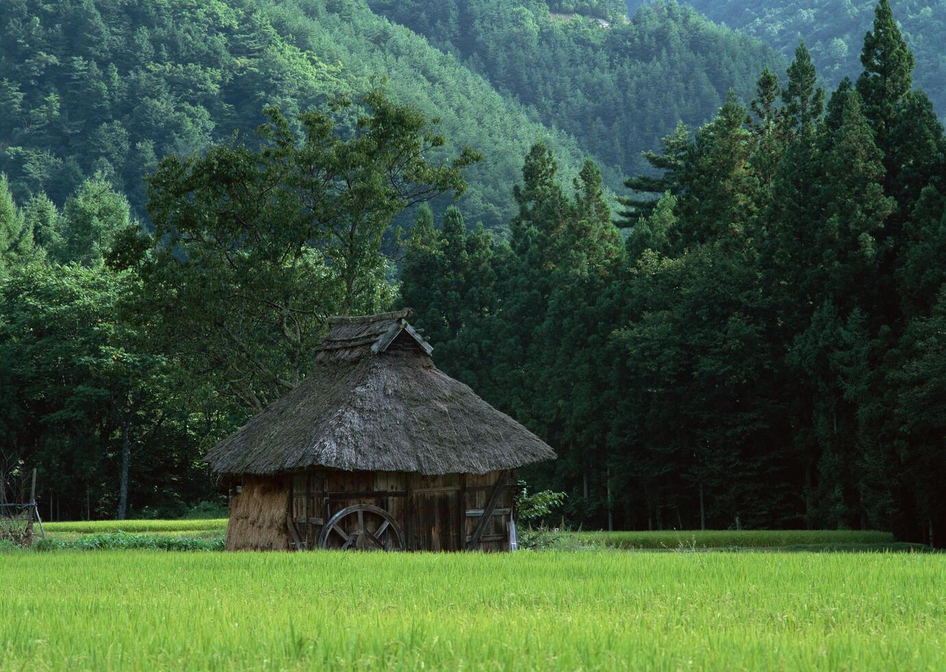 Traditional Japanese Rural Landscape. Vol. 14 photo