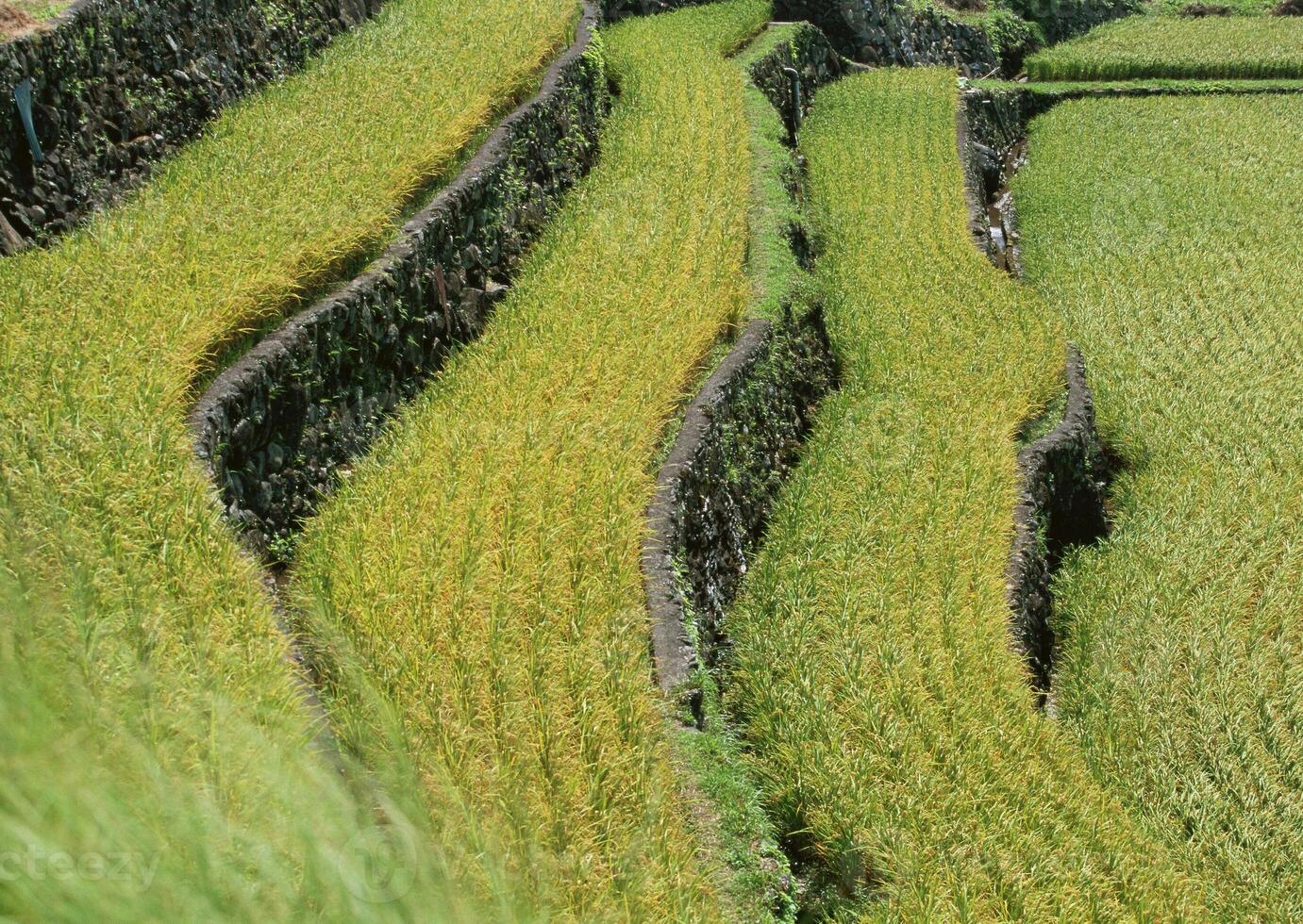 Mockup natural background. High quality photo
