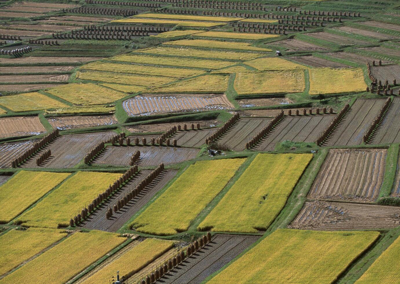 Field with green view. open space, outdoor. HiVol. 07 photo