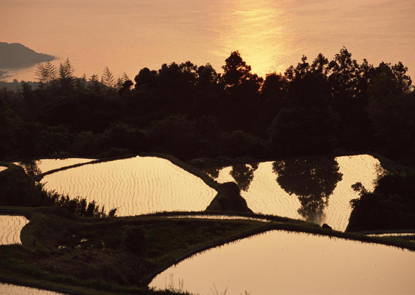 Field with green view. open space, outdoor. HiVol. 266 photo