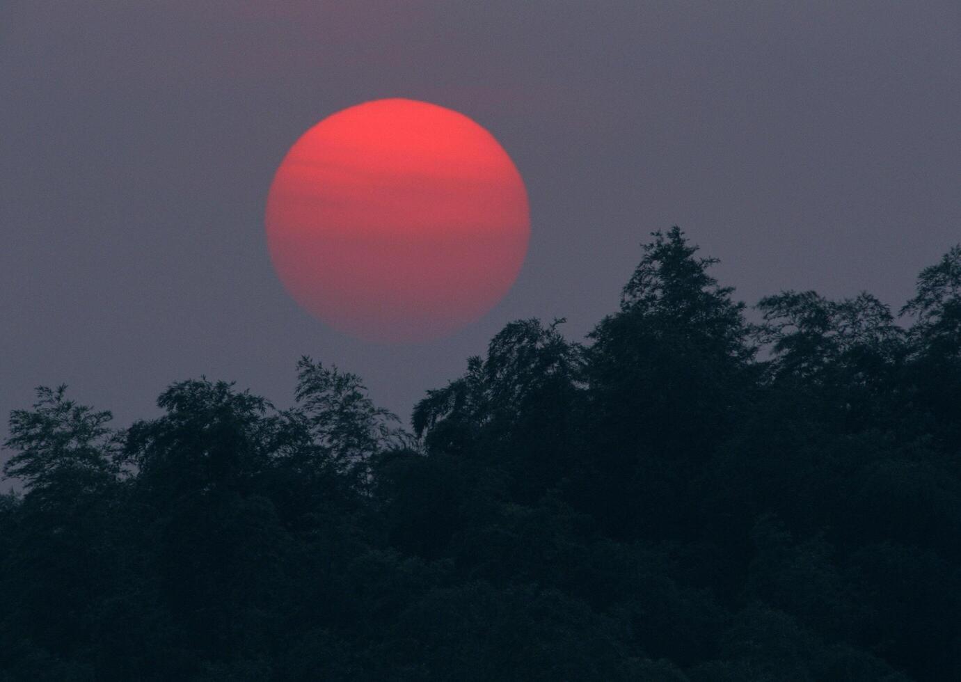 a red sun is seen over a forested area photo