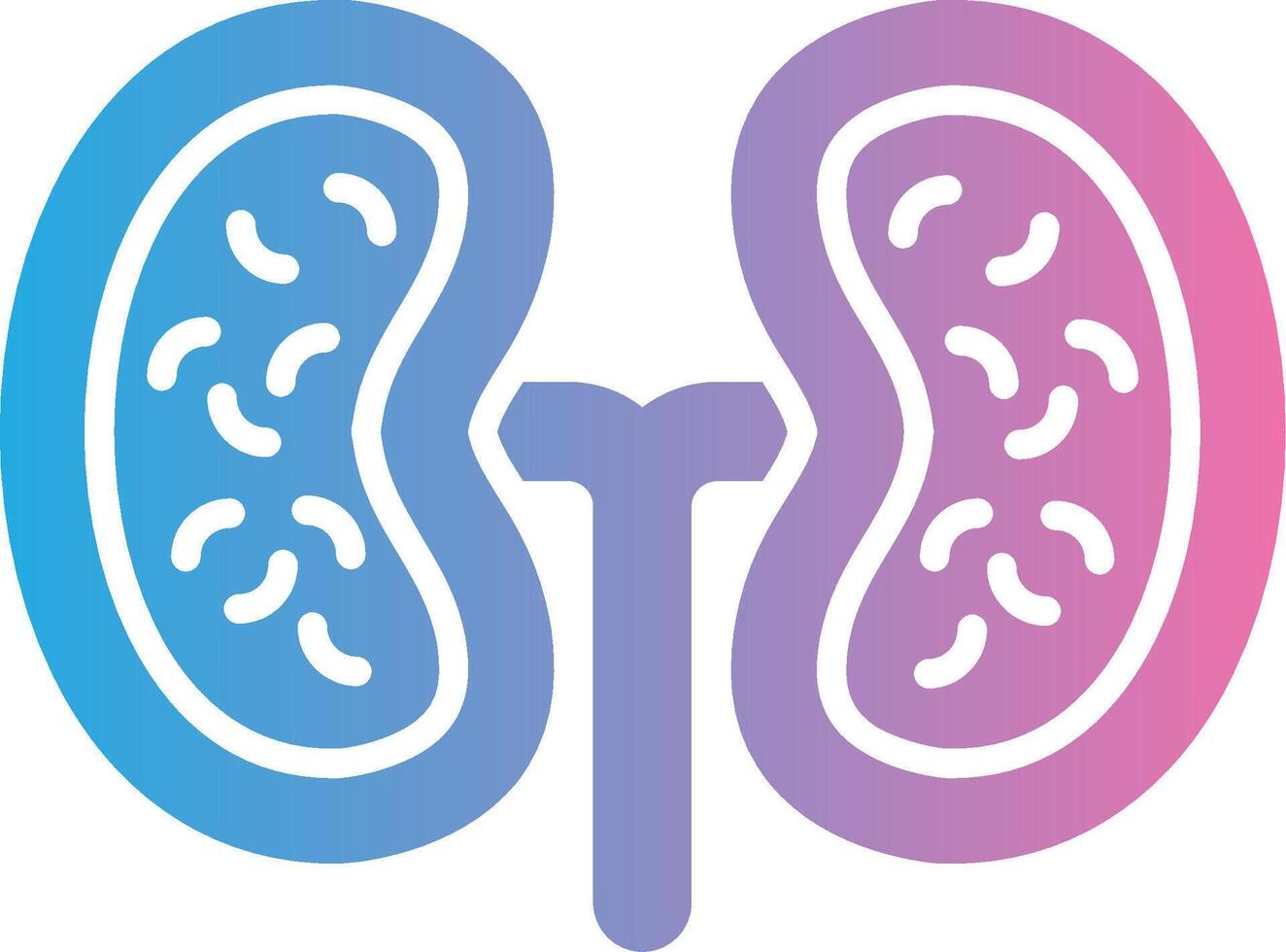 Kidney Handcrafted UI Symbol vector
