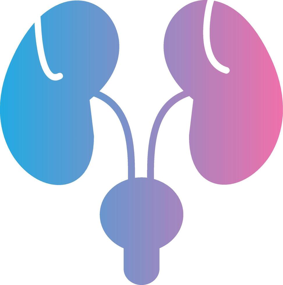 Bladder Bright Tone Visual vector