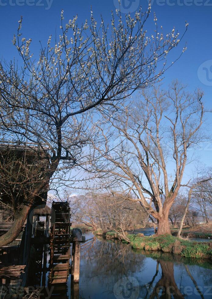 Watermill by the Stream. High quality photo
