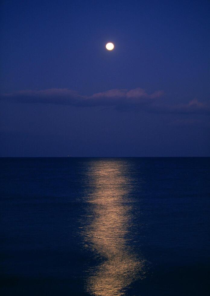 A full moon is seen over the ocean photo