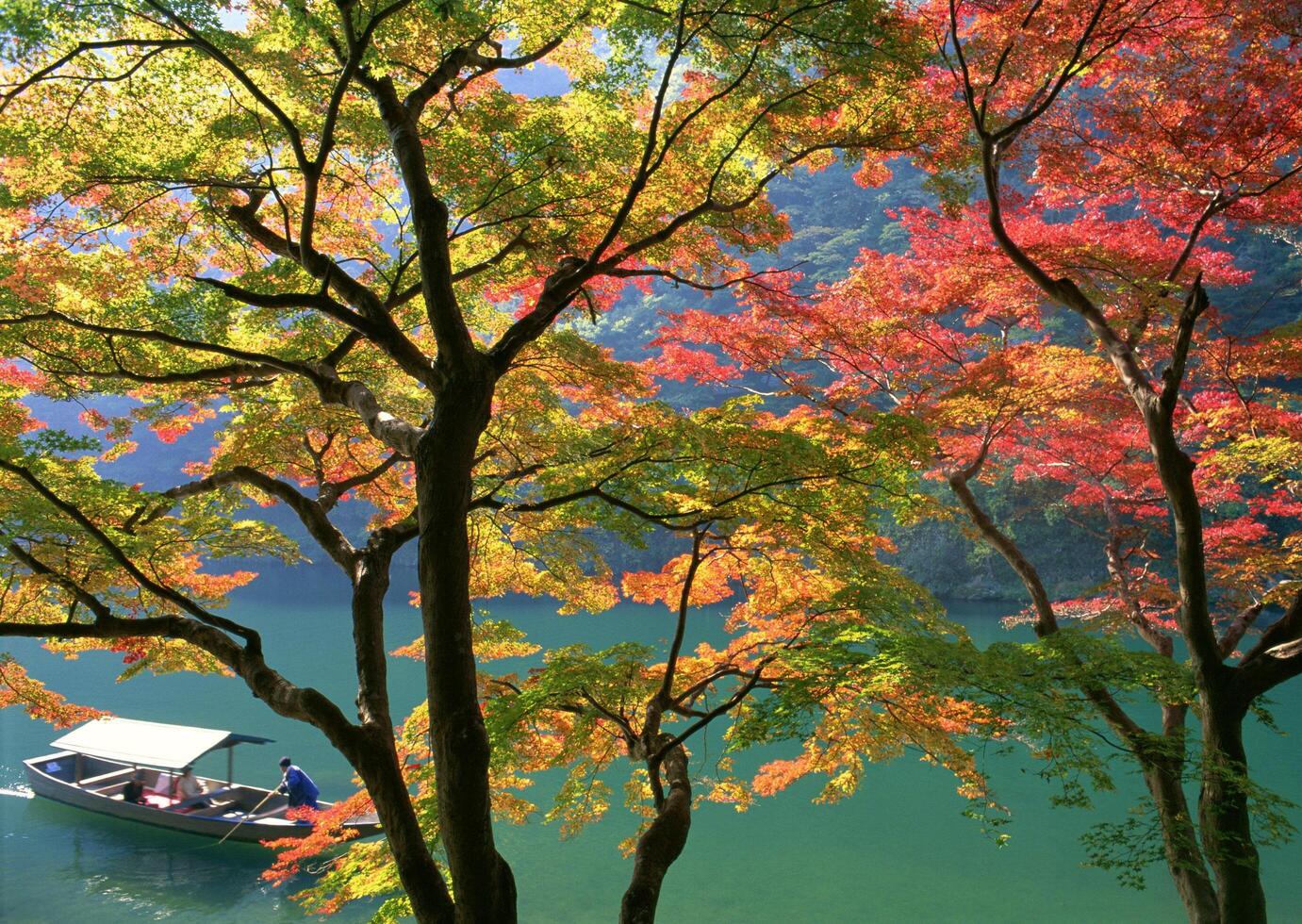 Boat is floating on the water near some trees photo