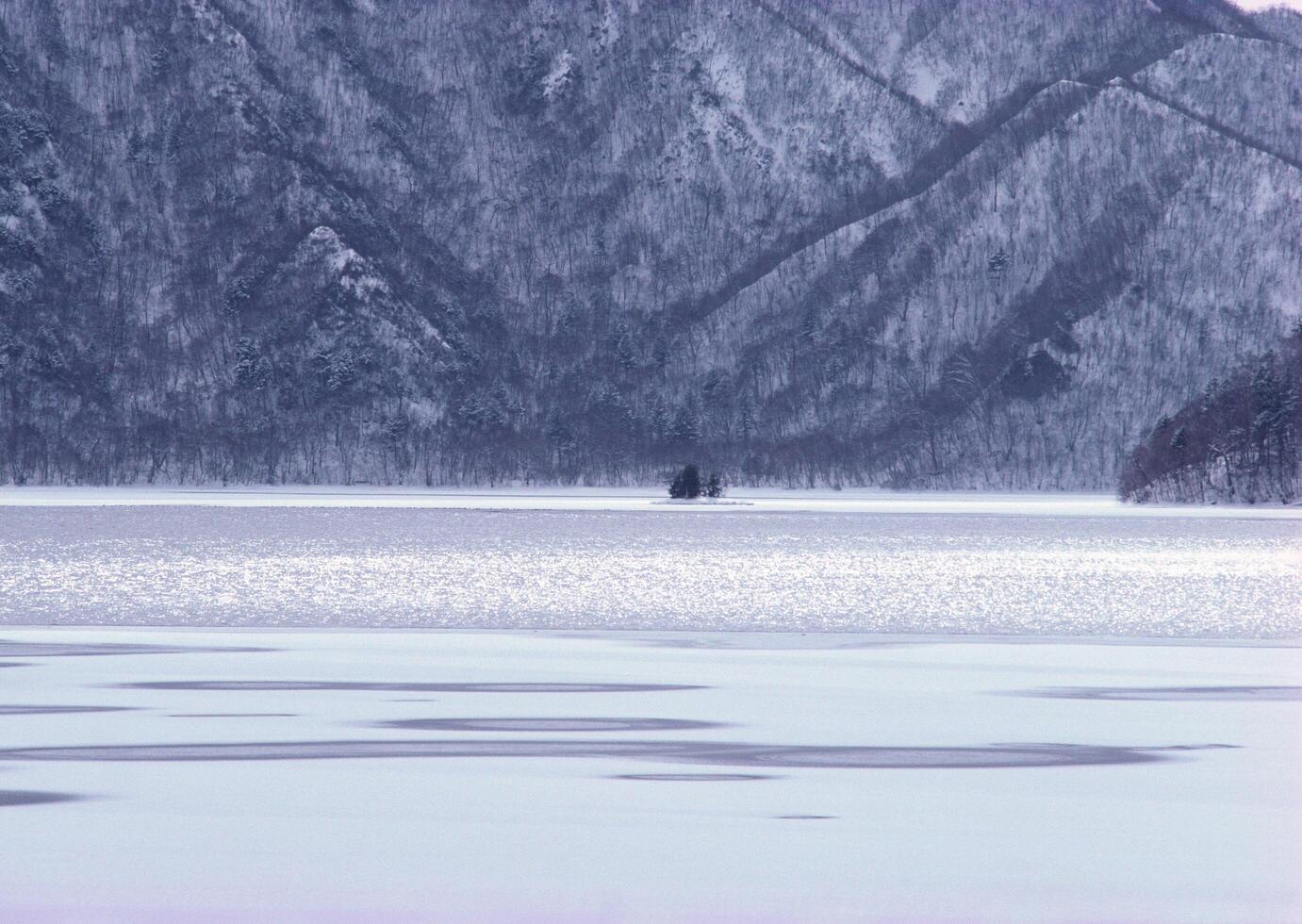 a lone tree in the middle of a frozen lake photo