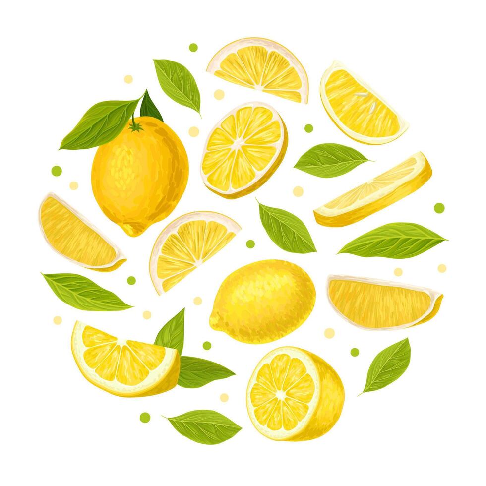 Bright Yellow Lemon Citrus Fruit with Green Leaf Circle Arrangement Template vector