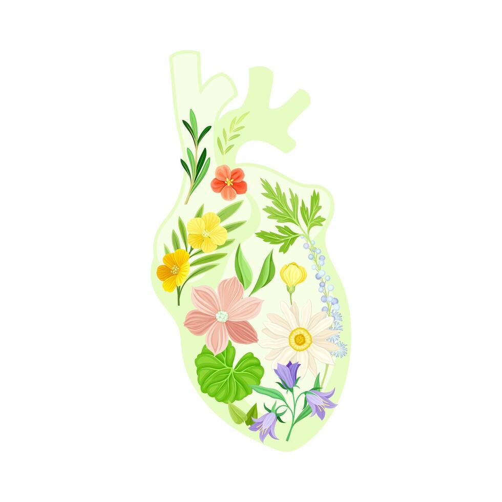 Anatomical heart with flowers and leaves. Healthy blooming human internal organ illustration vector
