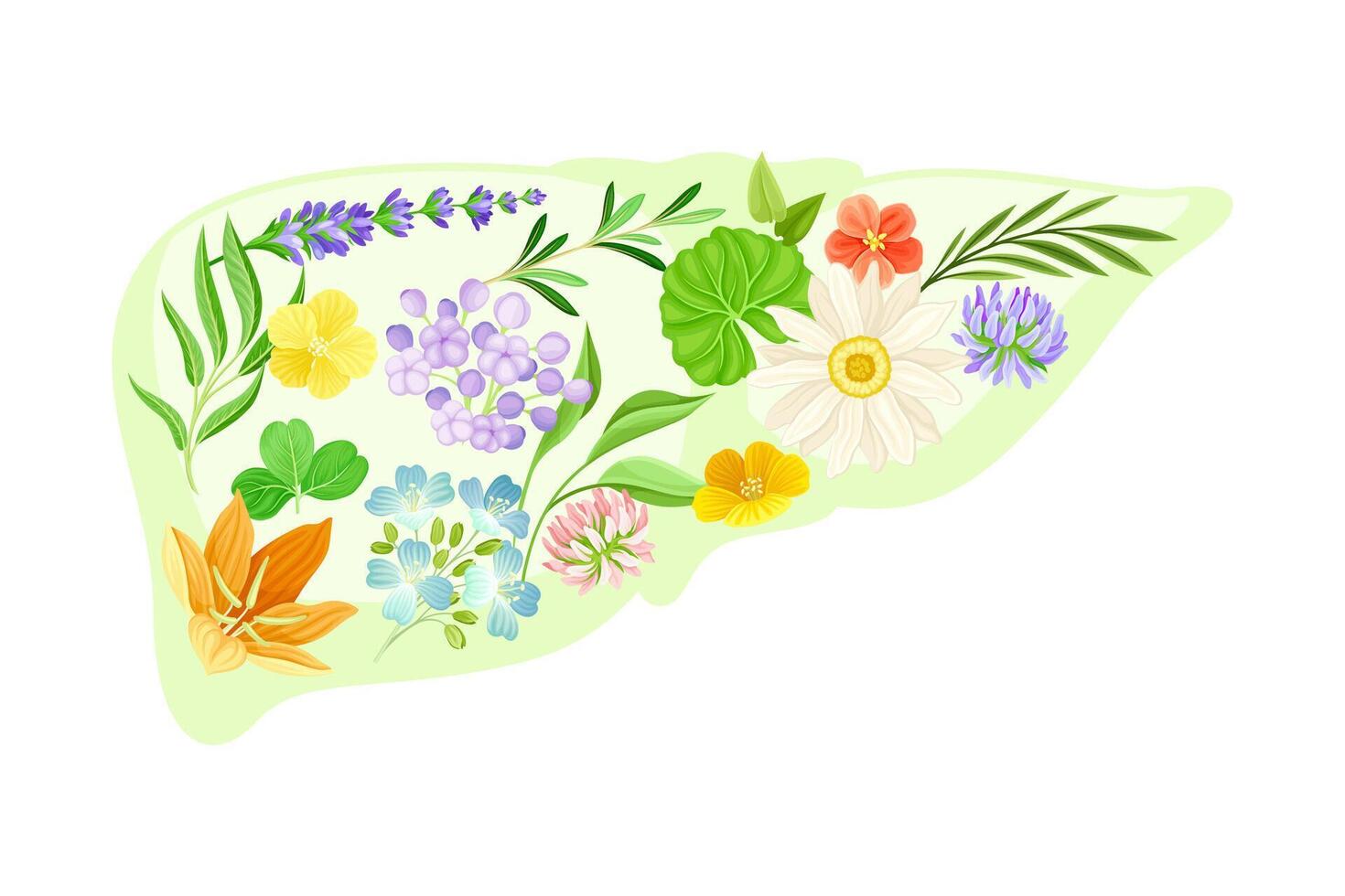 Anatomical liver with flowers and leaves. Healthy blooming human internal organ illustration vector