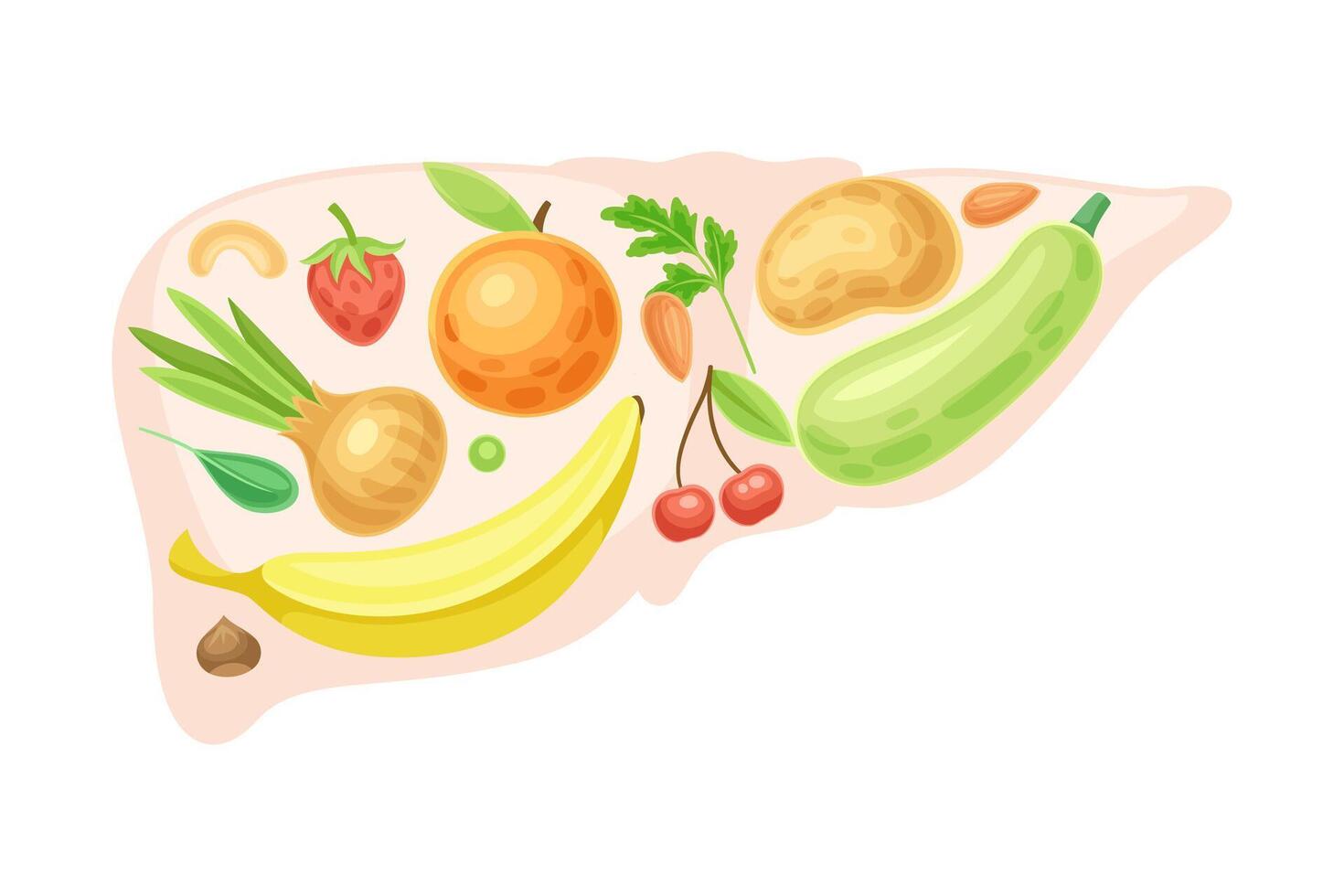 Liver with fruit and vegerables. Healthy human internal organ illustration vector