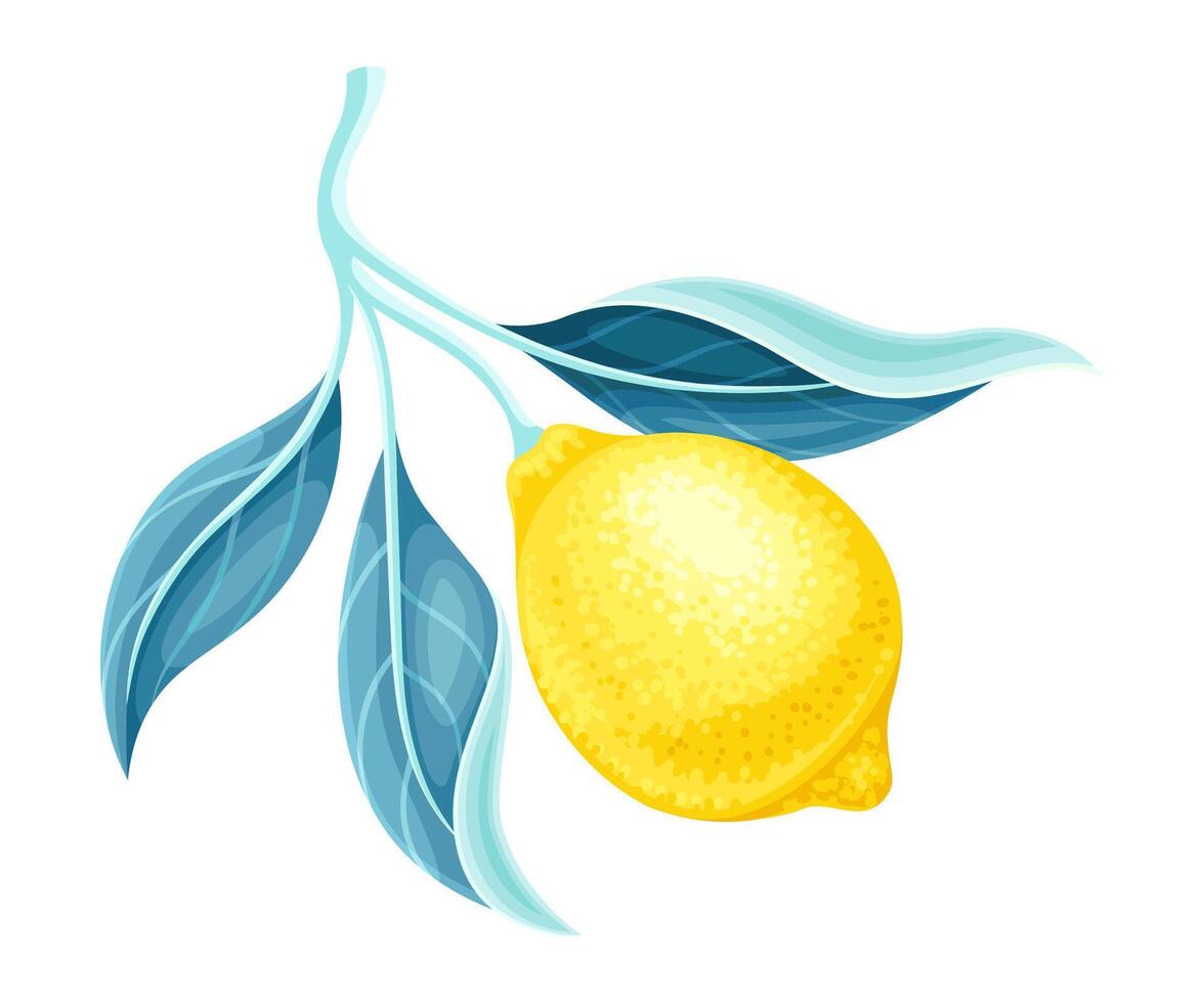 Lemon tree branch with ripe juicy fruit and leaves illustration vector