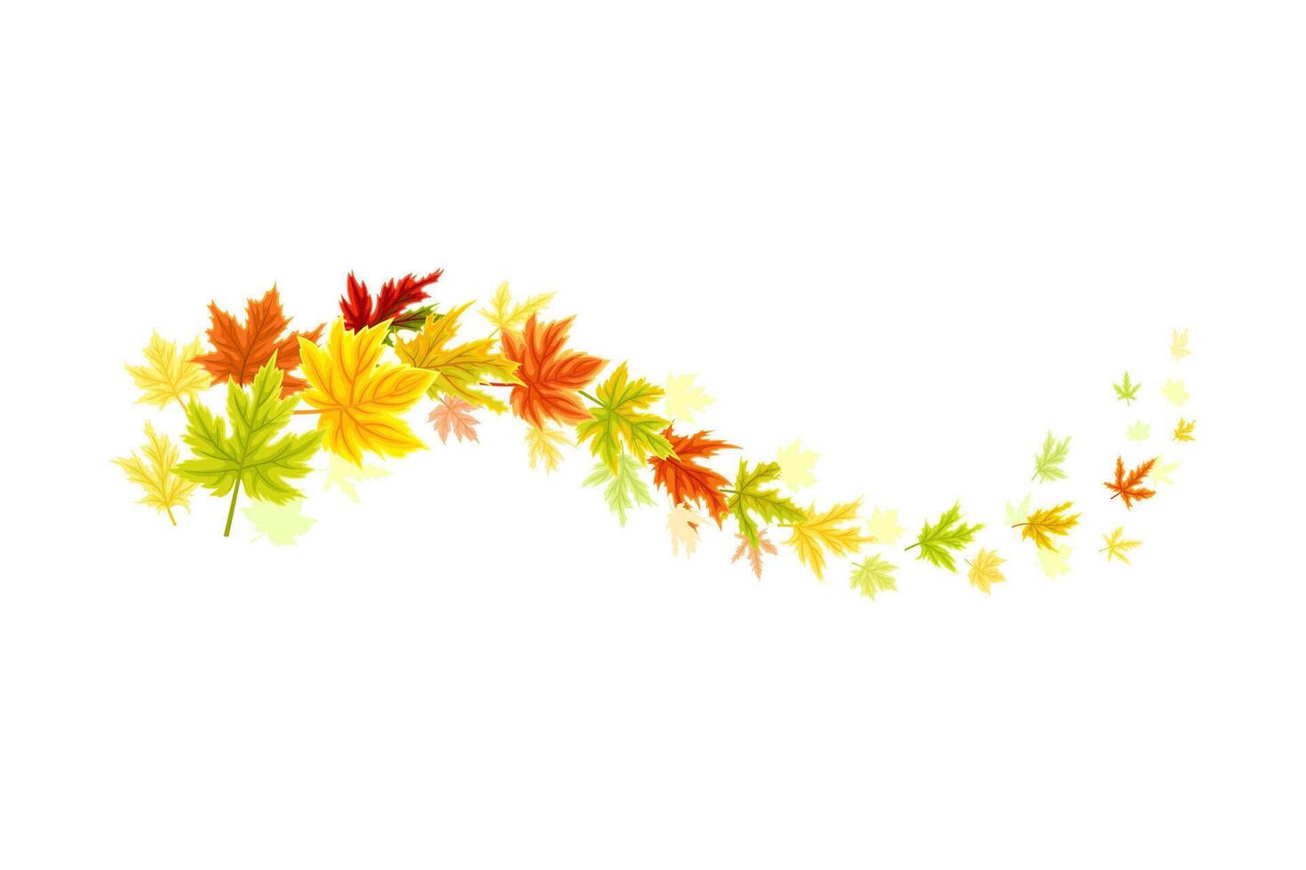 Maple Palmate Leaves of Bright Autumn Colour Arranged in Decorative Swirling Line Illustration vector