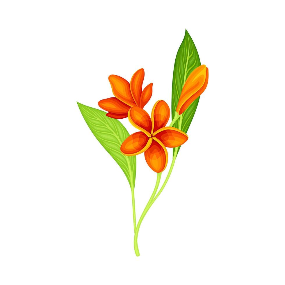 Field orange flowers. Elegant floral design element illustration vector
