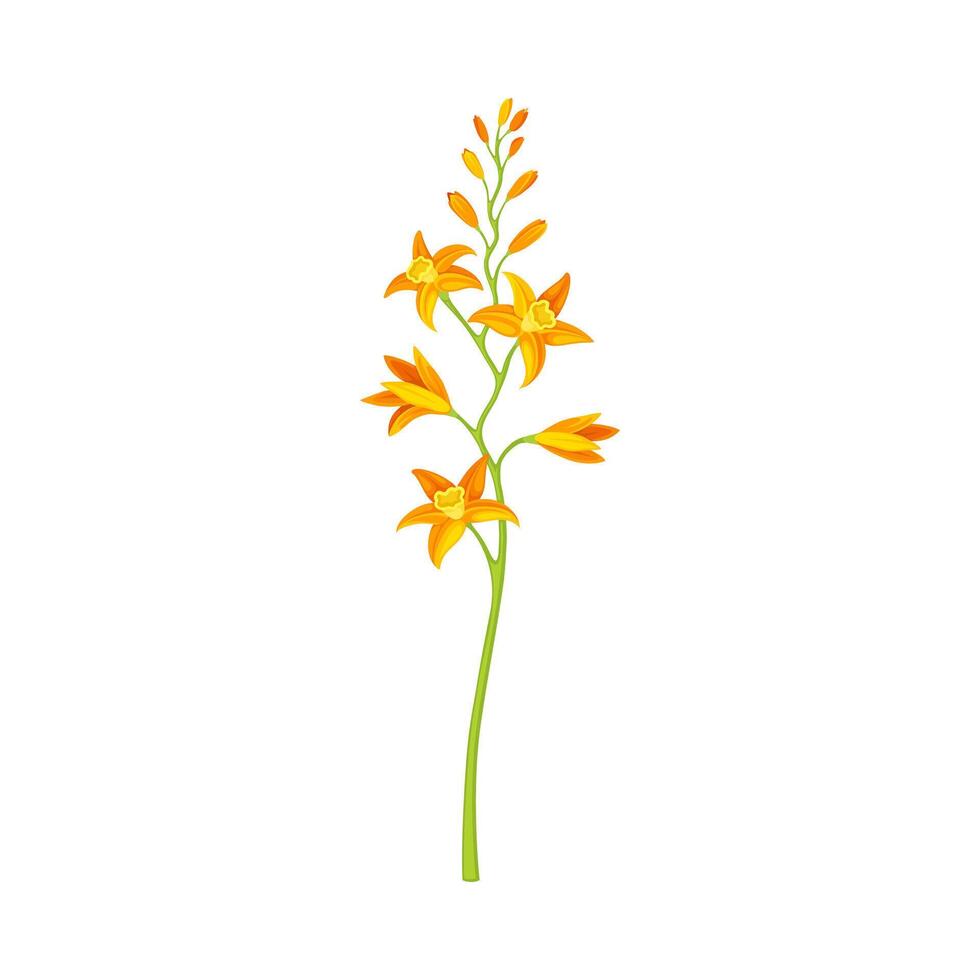 Tiny orange flowers, floral design element illustration vector