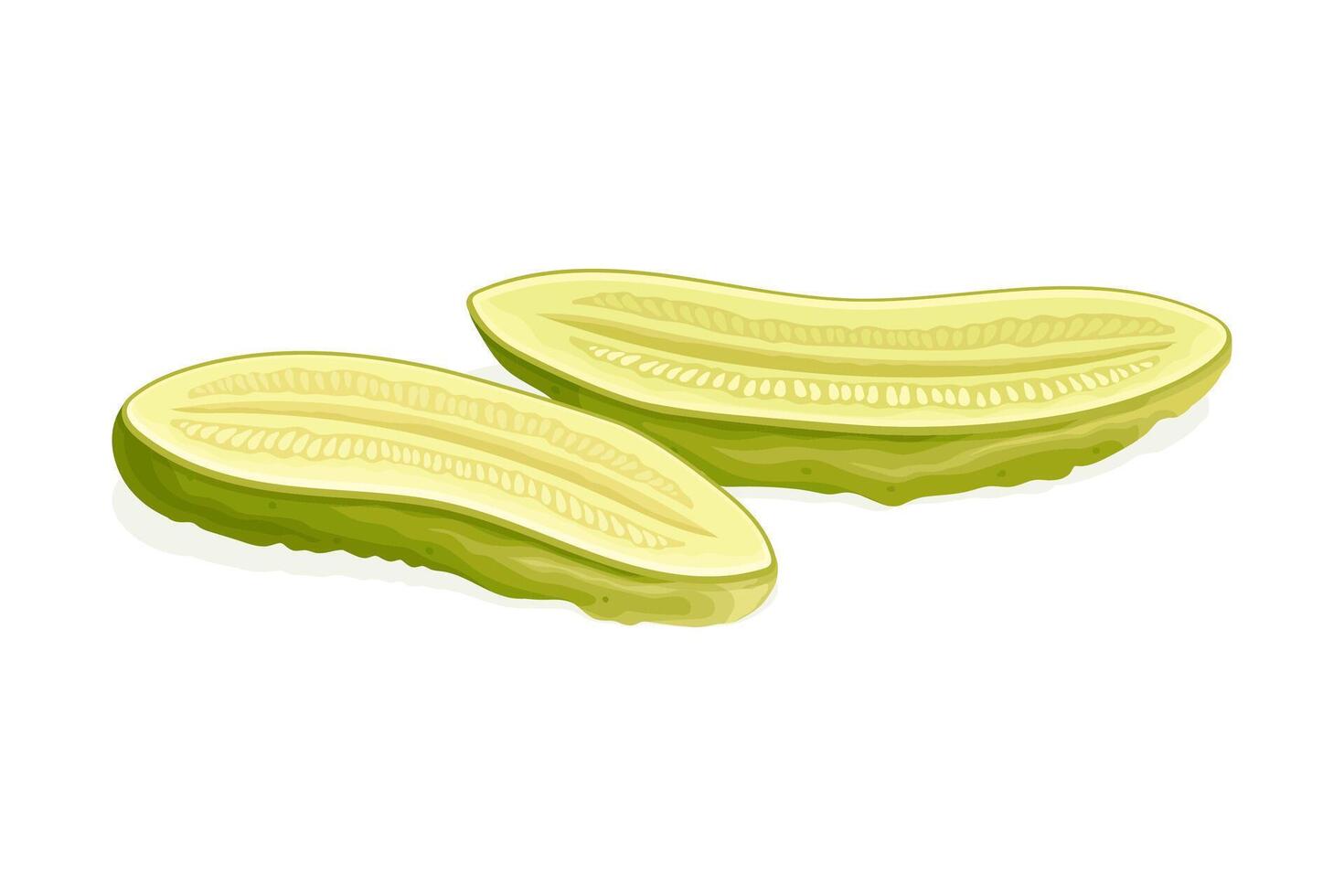 Cut in Half Pickled Cucumber or Gherkin with Salted Taste Served as Snack Illustration vector